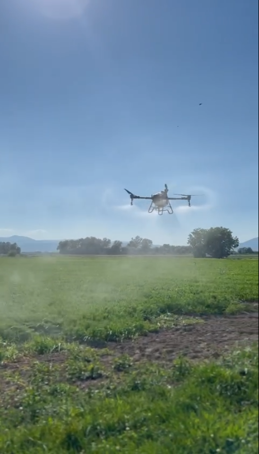 Agricultural Drone in Italy